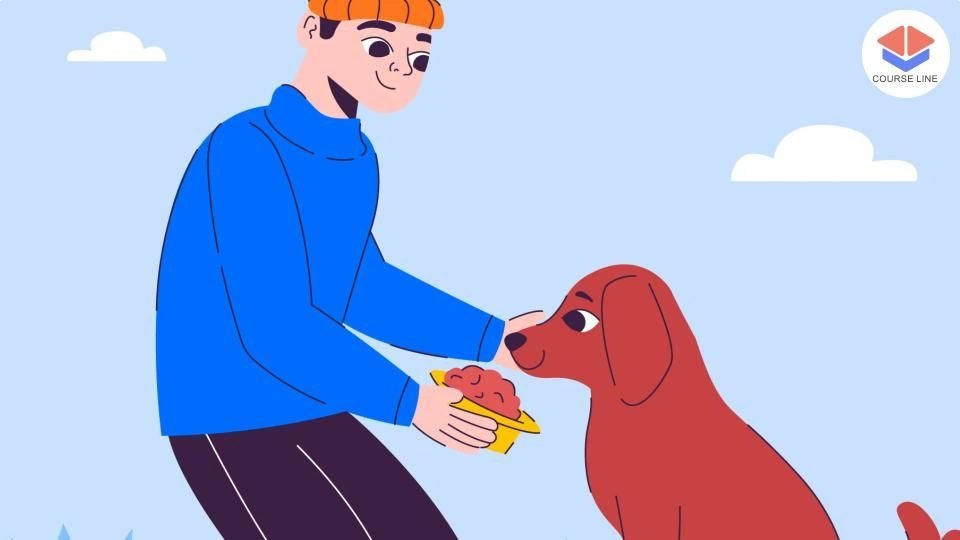 Dog First Aid and Emergency Care for Responsible Owners Course Thumbnail