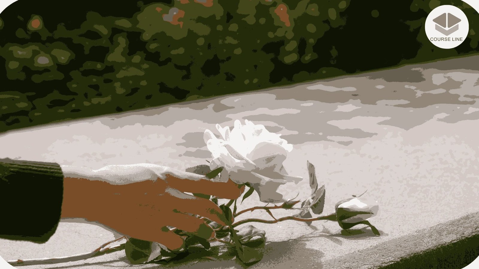 Understand the stages of grief, counselling techniques, and compassionate support methods.