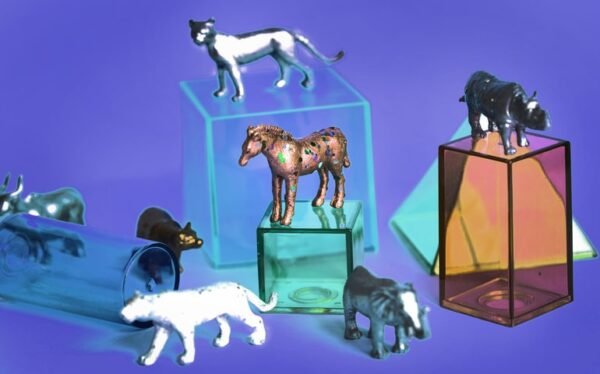 Evolutionary Biology Level 3 Advanced Diploma