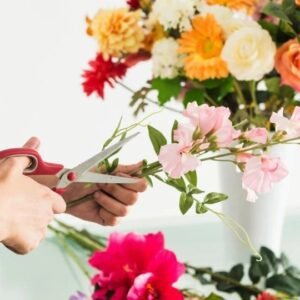 Master floral design, arrangement styles, and flower care for professional floristry services.