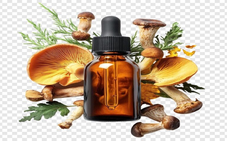 Foraging Level 5 Advanced Diploma