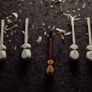 Forensic Anthropology Level 3 Advanced Diploma