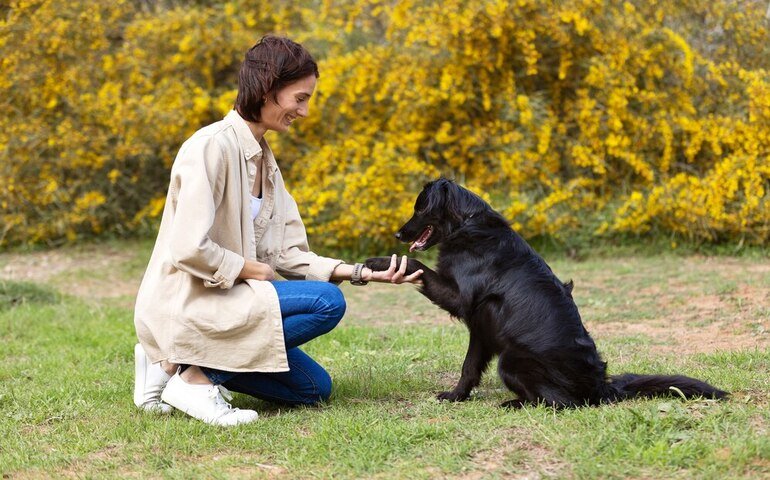 Guide Dog Trainer Level 3 Advanced Diploma