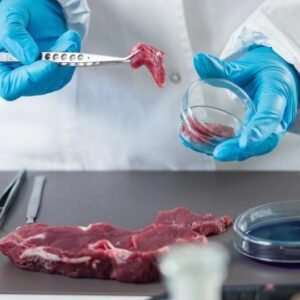 Explore meat science, butchery techniques, and culinary applications for meat preparation.