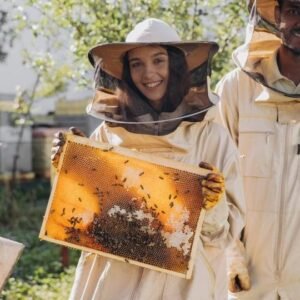 Discover eco-friendly beekeeping techniques to build and manage a profitable hive from the ground up.