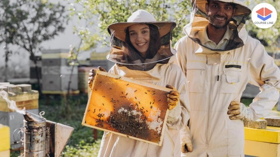 Discover eco-friendly beekeeping techniques to build and manage a profitable hive from the ground up.