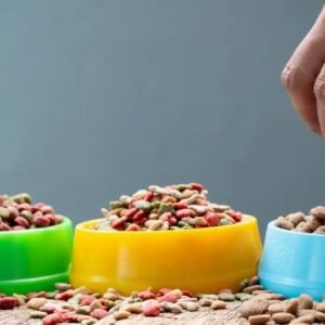 Dog Nutrition Level 5 Advanced Diploma Course Thumbnail