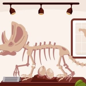 Forensic Anthropology Level 3 Advanced Diploma Course Thumbnail