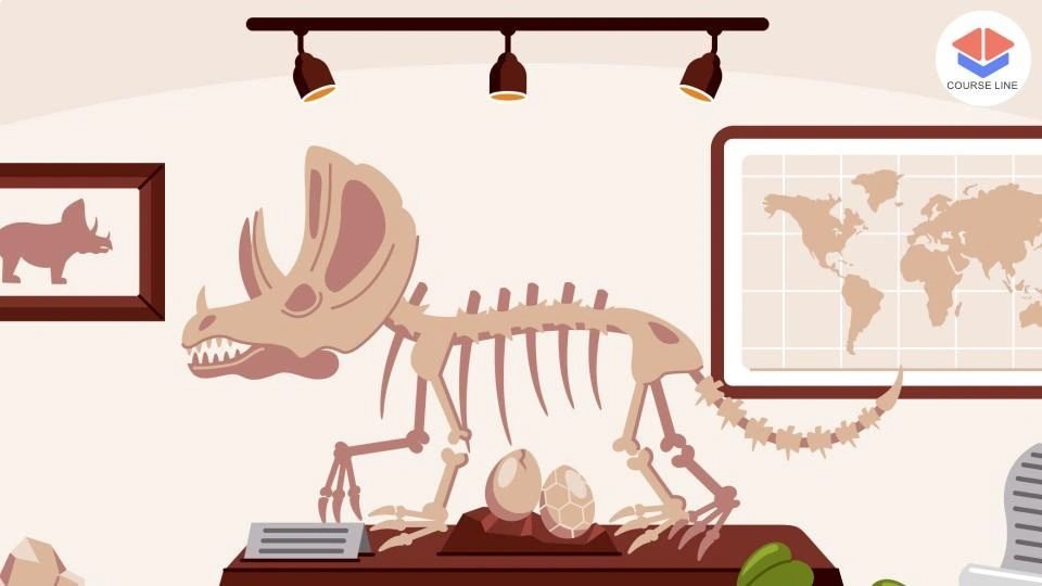 Forensic Anthropology Level 3 Advanced Diploma Course Thumbnail