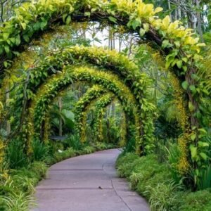 Garden Design Level 8 Advanced Diploma Course Thumbnail