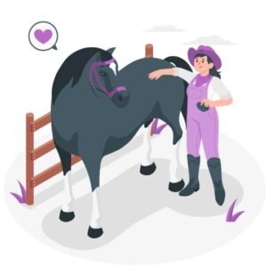 Horse Care Level 3 Advanced Diploma Course Thumbnail