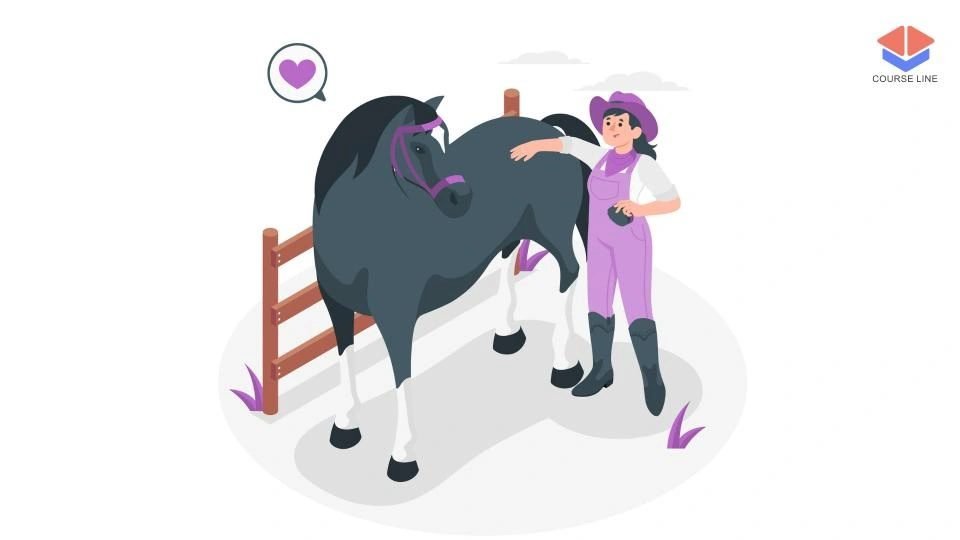 Horse Care Level 3 Advanced Diploma Course Thumbnail