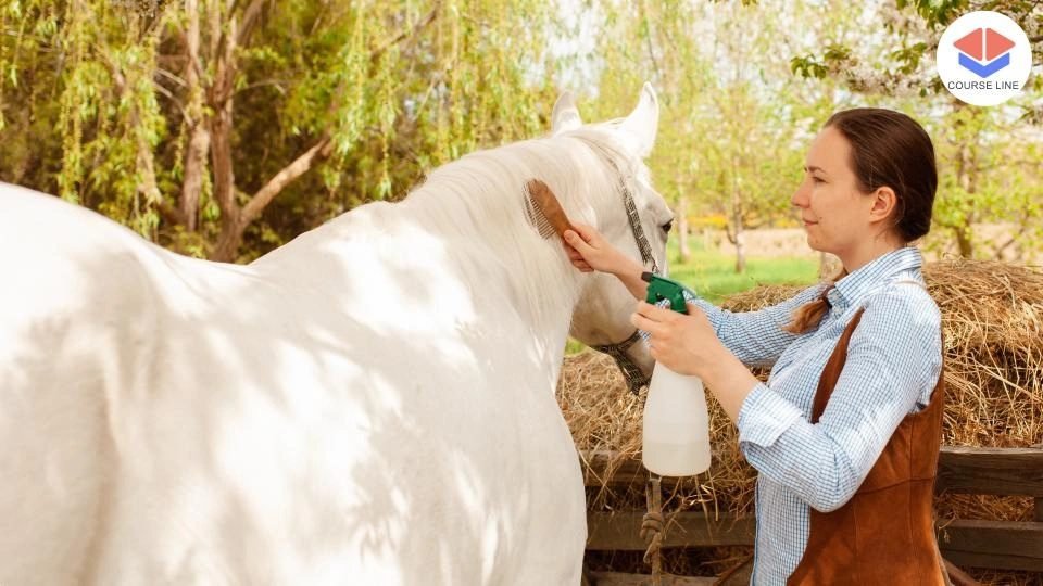 Horse Care Level 8 Advanced Diploma Course Thumbnail