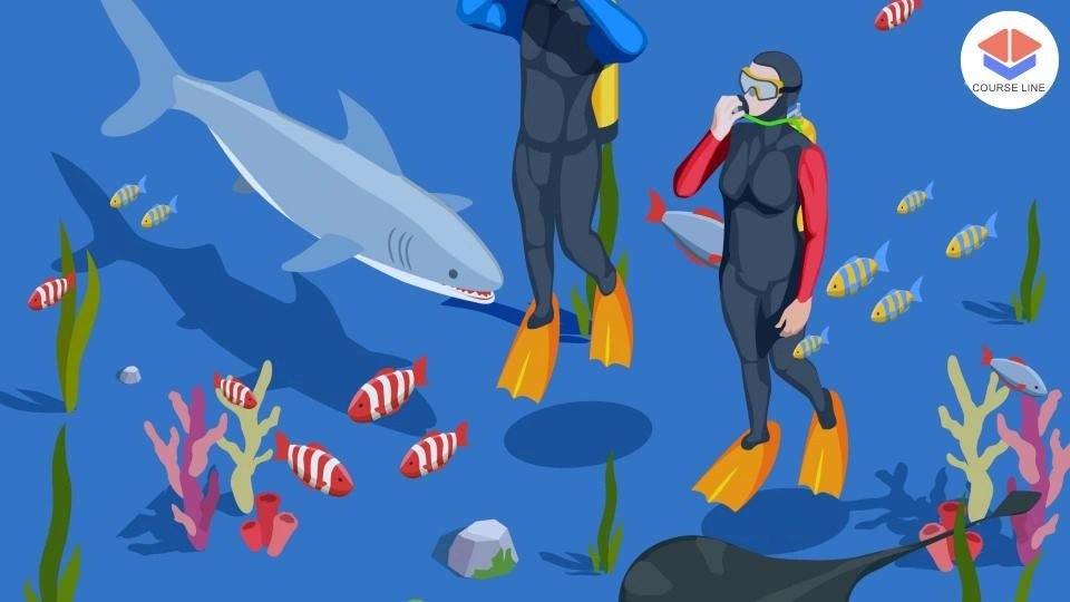 Marine Biology Level 3 Advanced Diploma Course Thumbnail
