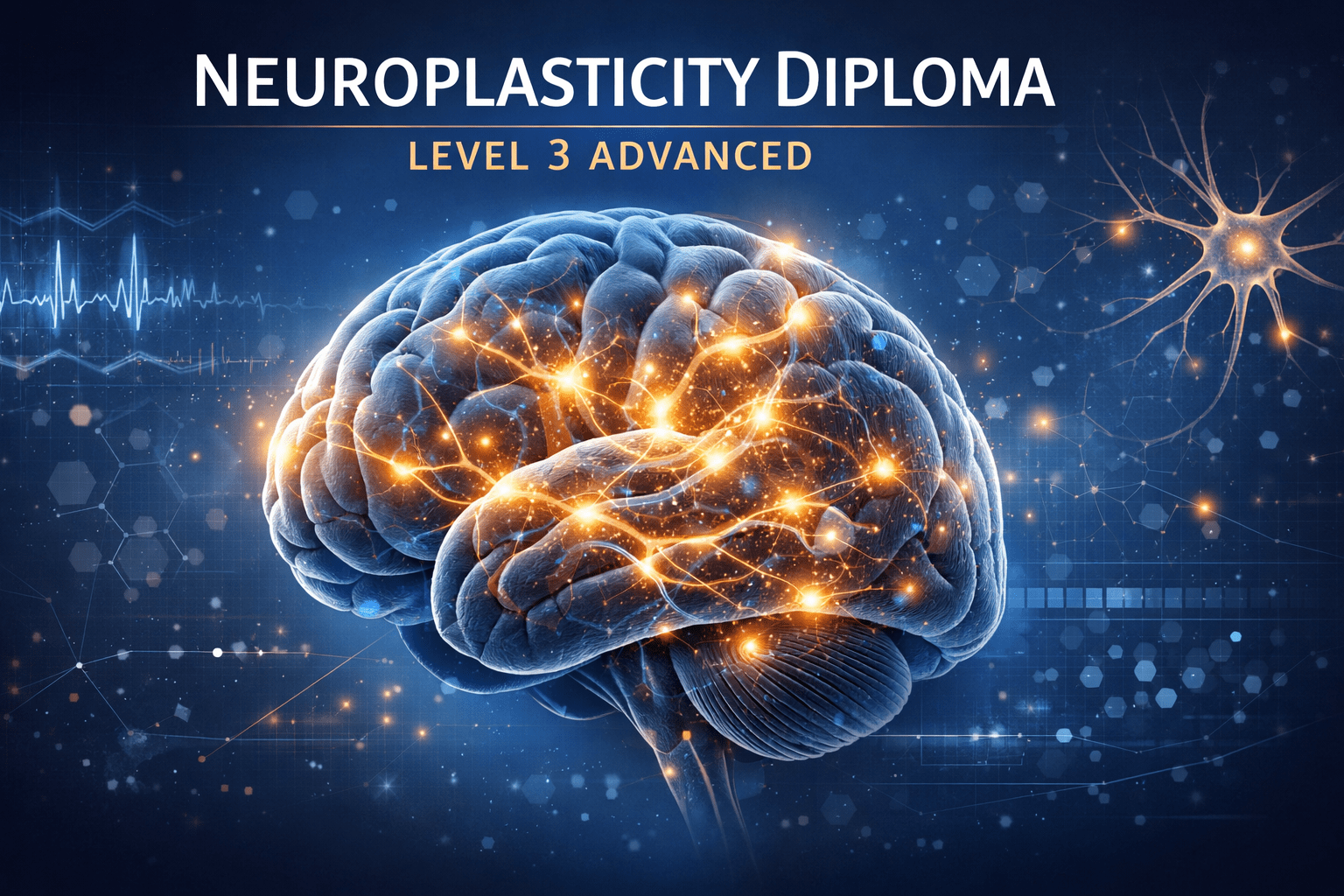 Neuroplasticity Diploma Level 3 course showing a glowing human brain with neural pathways forming and strengthening