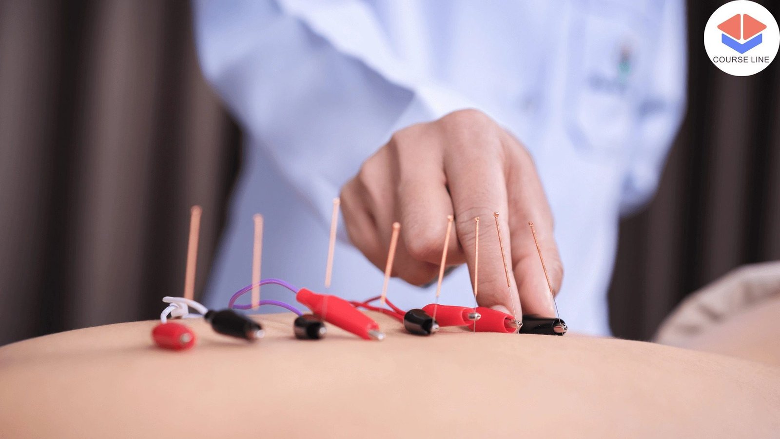Learn advanced acupressure points, therapeutic sequences, and traditional healing systems.