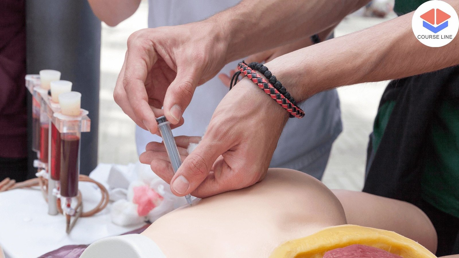 Master acupressure techniques to promote relaxation, balance, and healing.