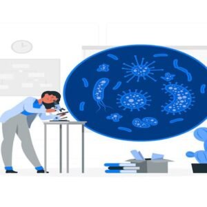 Antibody Science and Therapeutics: From Structure to Modern Applications