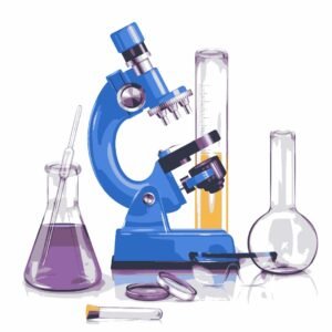 Understand the chemical processes within living organisms, including metabolism and enzymes.