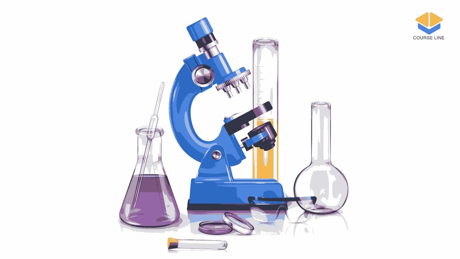Understand the chemical processes within living organisms, including metabolism and enzymes.