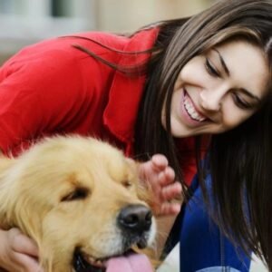 Learn essential dog care skills including nutrition, grooming, training, and health management.
