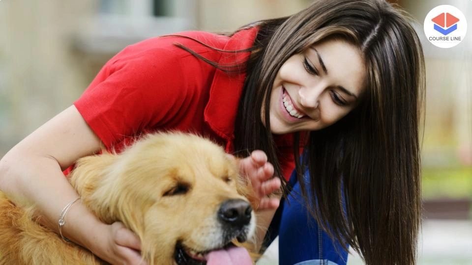 Learn essential dog care skills including nutrition, grooming, training, and health management.