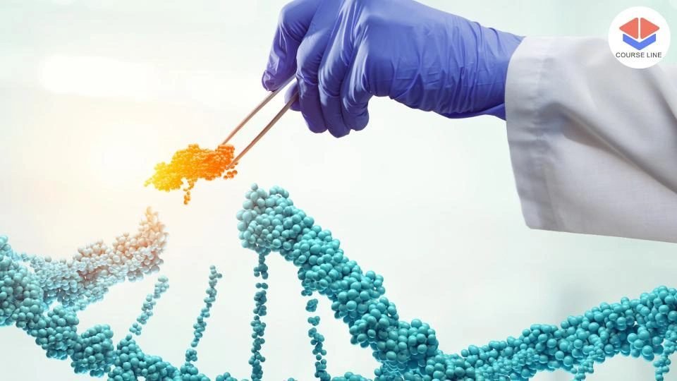 Explore the structure and function of DNA, RNA, and proteins in molecular biology.