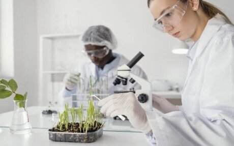 Soil Science and Management Level 3 Advanced Diploma