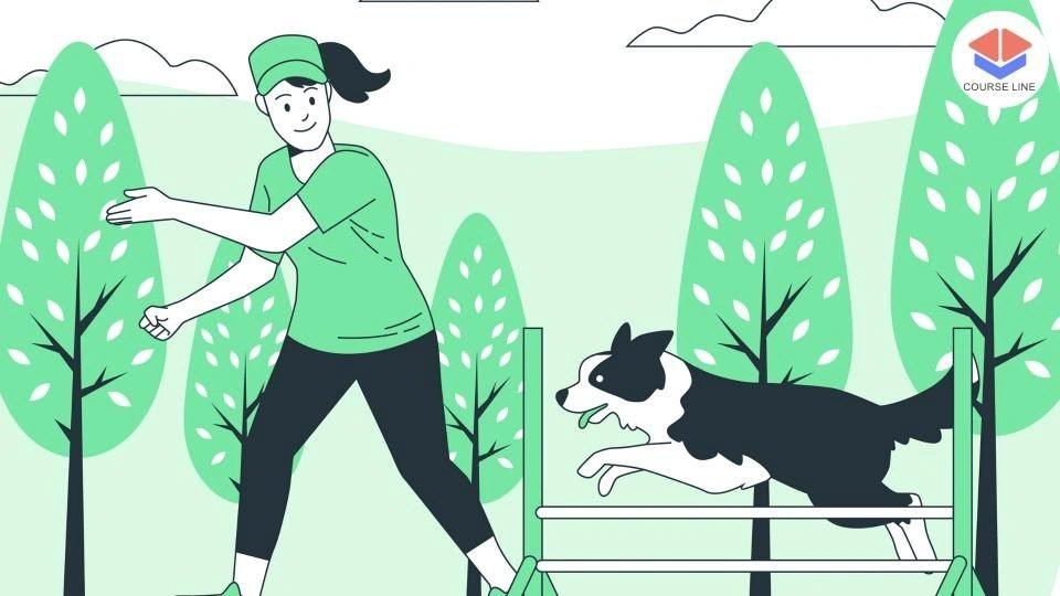 Dog Agility Level 8 Advanced Diploma Course Thumbnail