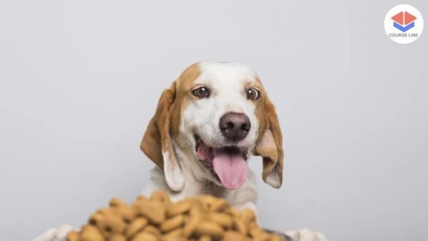 Dog Nutrition Level 3 Advanced Diploma Course Thumbnail