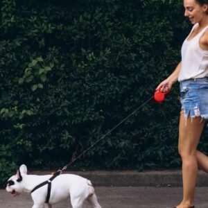 Dog Walking Level 3 Advanced Course Thumbnail