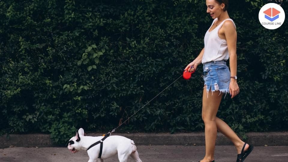 Dog Walking Level 3 Advanced Course Thumbnail