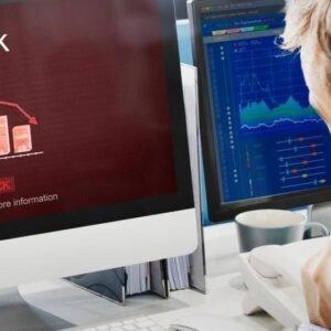 Enterprise Risk Management: Safeguard and Grow Your Business Course Thumbnail