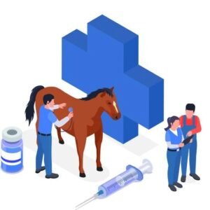 Equine Science Essentials Course Thumbnail