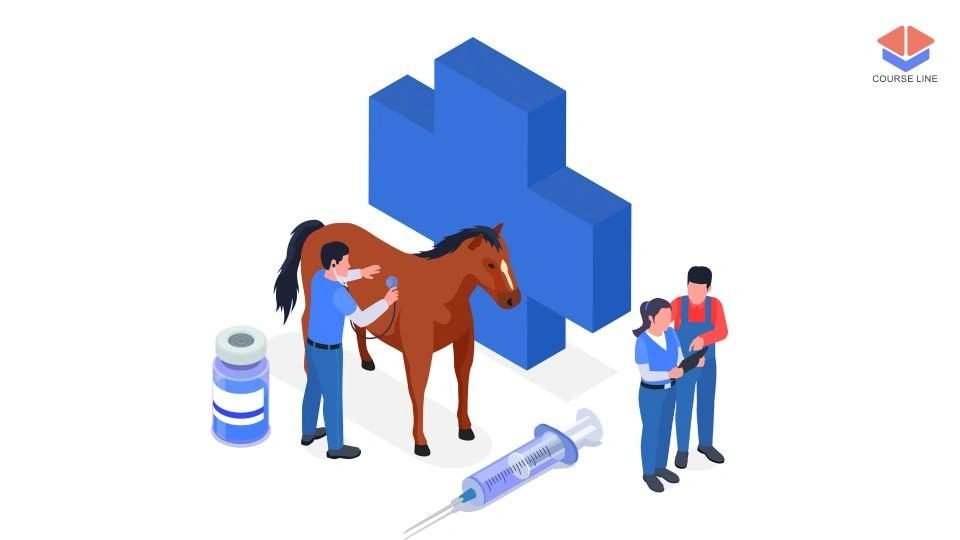 Equine Science Essentials Course Thumbnail