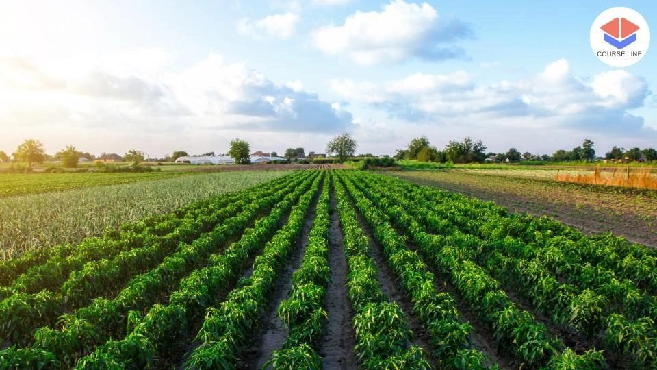 Farming Level 8 Advanced Diploma Course Thumbnail