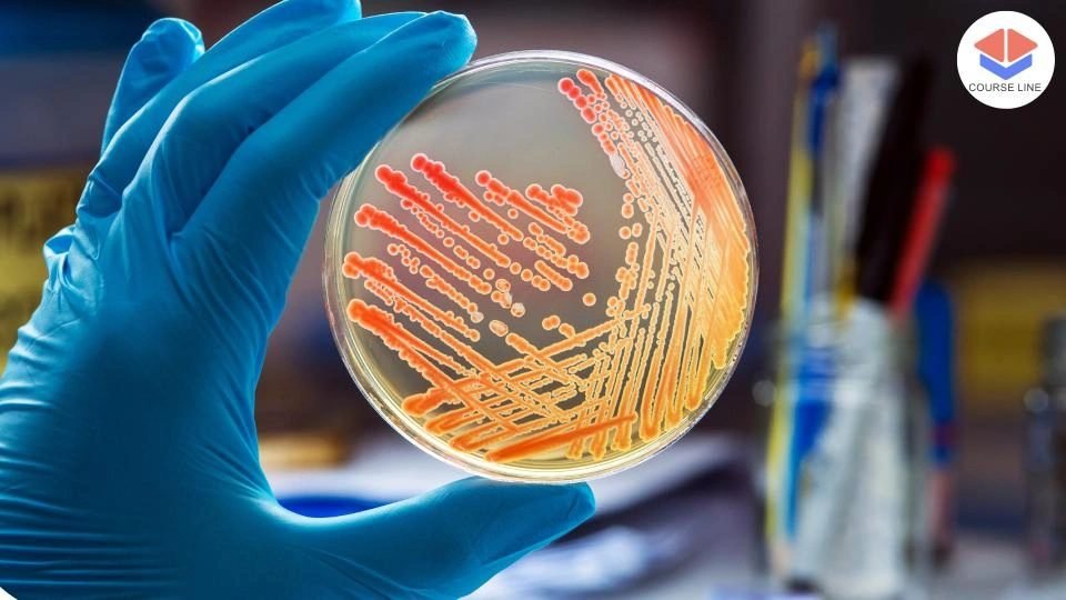 Legionella Management Level 3 Advanced Diploma Course Thumbnail