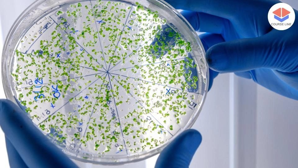 Microbiology Level 8 Advanced Diploma Course Thumbnail