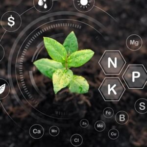 Soil Science and Management Level 3 Advanced Diploma Course Thumbnail