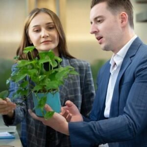 Sustainability Manager Level 3 Advanced Diploma Course Thumbnail