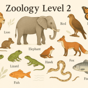 Zoology course Level 2 illustration showing diverse animals including mammals, birds, reptiles, and insects in a natural study setting.