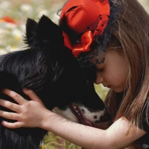 Animal Reiki Healing Certification Course Thumbnail