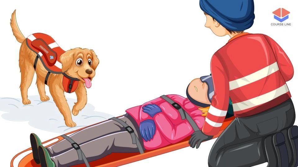 Canine First Aid Course Thumbnail