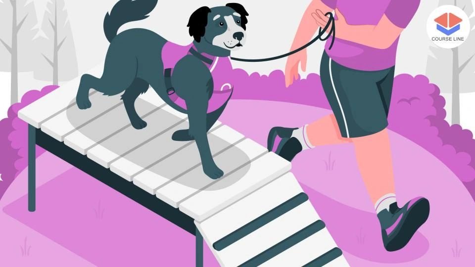 Dog Agility Course Thumbnail