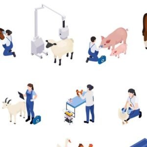 Horse First Aid and Emergency Care Course Thumbnail