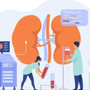 Renal Physiology Level 3 Advanced Diploma Course Thumbnail