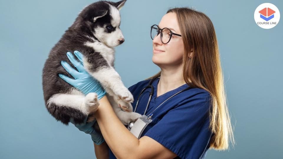 Veterinary Nursing Course Thumbnail