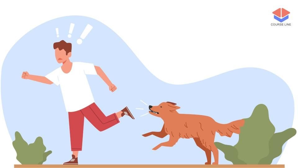 Dog Behaviour Level 8 Advanced Diploma Course Thumbnail