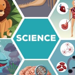 IGCSE Biology: Principles of Life and Living Systems Course Thumbnail