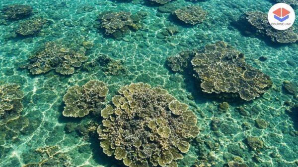 Oceanography Level 8 Advanced Diploma Course Thumbnail